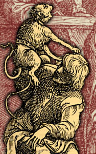 d11.jpg (30556 octets)