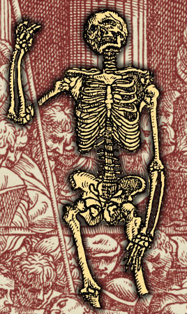 d17.jpg (64008 octets)