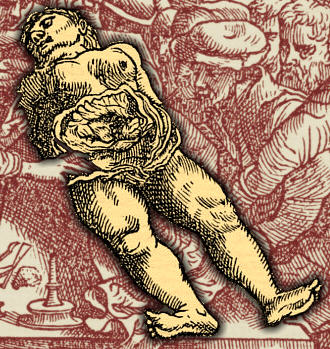 d9.jpg (59658 octets)