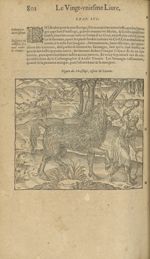Figure du pirassoipi, espece de licorne - Les Oeuvres d'Ambroise Paré,...divisees en trente livres.  [...]