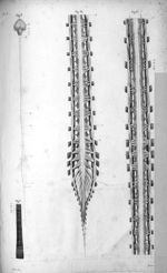 Pl. I. Fig. 1. Système nerveux d'une chenille / Fig. 2. Cerveau, cervelet et système nerveux de la c [...]