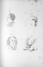 Pl. LXI. Fig. 1. Charles XII / Fig. 2. Mirabeau / Fig. 3 et 4. Mimique de l'amour physique - Anatomi [...]