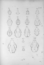 Pl. LXXII. Crânes. Fig. . Du rat des prés / Fig. 2. De la taupe / Fig. 3. Du lerot / Fig. 4. De l'he [...]