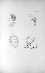 Pl. LXI. Fig. 1. Charles XII / Fig. 2. Mirabeau / Fig. 3 et 4. Mimique de l'amour physique - Anatomi [...]