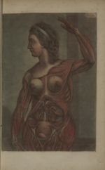 Pl. III. [Ecorché d'une femme en début de grossesse : haut du corps (muscles, seins, viscères)] - An [...]