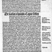 0023 - Page sans numérotation - De natura hominis caput secundum
