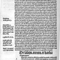 0096 - Page sans numérotation - De labiis mento et barba caput XXXVI