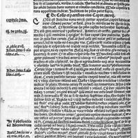 0098 - Page sans numérotation - De collo et partibus eius caput XXXVII