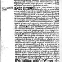 0124 - Page sans numérotation - De cerebro et partibus eius caput XLV