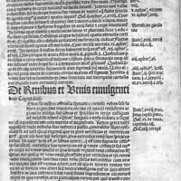 0195 - Page sans numérotation - De renibus et venis emulgentibus caput LIIII