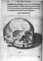 Figura cranij natruralis - Petri Paaw Amsteldamensis Succenturiatus Anatomicus. continens Commentari [...]