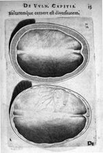 Petri Paaw Amsteldamensis Succenturiatus Anatomicus. continens Commentaria in Hippocratem, de Capiti [...]