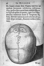 Petri Paaw Amsteldamensis Succenturiatus Anatomicus. continens Commentaria in Hippocratem, de Capiti [...]