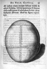 Petri Paaw Amsteldamensis Succenturiatus Anatomicus. continens Commentaria in Hippocratem, de Capiti [...]