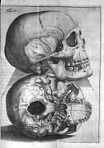 Petri Paaw Amsteldamensis Succenturiatus Anatomicus. continens Commentaria in Hippocratem, de Capiti [...]