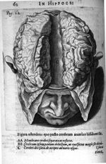 Petri Paaw Amsteldamensis Succenturiatus Anatomicus. continens Commentaria in Hippocratem, de Capiti [...]