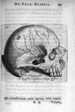 Petri Paaw Amsteldamensis Succenturiatus Anatomicus. continens Commentaria in Hippocratem, de Capiti [...]