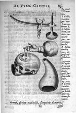 Petri Paaw Amsteldamensis Succenturiatus Anatomicus. continens Commentaria in Hippocratem, de Capiti [...]