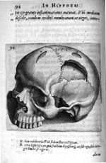 Petri Paaw Amsteldamensis Succenturiatus Anatomicus. continens Commentaria in Hippocratem, de Capiti [...]