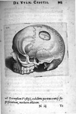 Petri Paaw Amsteldamensis Succenturiatus Anatomicus. continens Commentaria in Hippocratem, de Capiti [...]