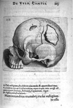 Petri Paaw Amsteldamensis Succenturiatus Anatomicus. continens Commentaria in Hippocratem, de Capiti [...]