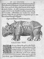 Rhinoceros armé de toutes pieces - Discours d'Ambroise Paré, conseiller premier chirurgien du roy, à [...]