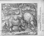 Combat du Rhinoceros contre l'Elephant - Discours d'Ambroise Paré, conseiller premier chirurgien du  [...]
