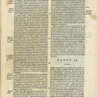 0301 - Page 89 - Caput LV. De aere