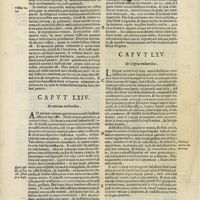 0310 - Page 98 - Caput LXIV. De narium vulneribus / Caput LXV. De linguae vulneribus / Caput LXVI. De vulneribus ceruicis, & iuguli