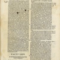0329 - Page 117 - Caput LXXVI. De inflammatione praestantiorum partium vulnera consequente
