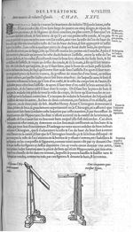 Fig. 154.  Glossocome d'Hippocrates nommé Ambi - Les Oeuvres d’Ambroise Paré, conseiller et premier  [...]