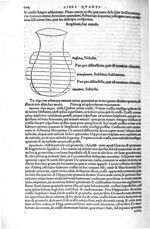 Scaphium, siue matula - Antonii Musae Brasavoli medici ferrariensis in octo libros aphorismorum Hipp [...]