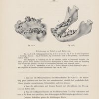 0024 - Page 110 - Erklärung zu Tafel 3 und Seite 110