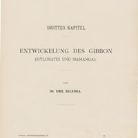 0080 - Page 163 - Drittes Kapitel. Entwickelung des Gibbon (Hylobates und Siamanga). Von Dr Emil Selenka