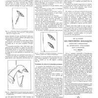 0015 - Page 11 - Étude sur le drainage de la plèvre. Traitement de choix des pleurésies purulentes (Stérilisation chimique par les gaz et les vapeurs antiseptiques). Par L. Chevrier... / De la durée des phénomènes biologiques consécutifs à l'introduction de substances étrangères dans l'organisme. Par L. Ambard