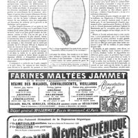 0218 - Page 218 - Pain complet et pain au son