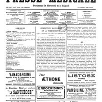 1198 - Page 1201 - Sommaire / L'infection bacillaire et la tuberculose chez l'homme et chez les animaux