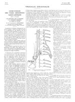 Fig. 1. Schéma des branches du vague et du sympathique, d'après une de nos dissections - La Presse m [...]