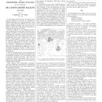 0101 - Page 97 - Travaux originaux. Participation des endothéliites artério-capillaires au syndrome de l'endocardite maligne lente. Par MM. P. Merklen et M. Wolf