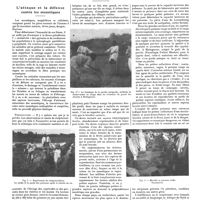 0129 - Page 125 - Chroniques, variétés et informations. L'attaque et la défense contre les moustiques