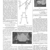 0148 - Page 142 - Chroniques, variétés et informations. Voyage médical français à vienne et à Munich [Laignel-Lavastine] / Instruments nouveaux. Vade-mecum gynécologique : (porte-jambes transportable pour accouchement et interventions gynécologiques) / La médecine à travers le monde. Écosse / Indes portugaises / Les médecins étrangers à Paris
