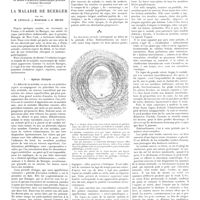 0199 - Page 193 - Travaux originaux. Travail du musée d'anatomie pathologique générale à l'hôpital Boucicaut. La maladie de Buerger. Par MM. M. Letulle, J. Marchak et G. Boyer