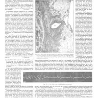 0630 - Page 624 - Chroniques, variétés et informations. Livres nouveaux. Structure des muscles striés, par R. Lutembacher... (Masson et Compagnie, éditeurs), Paris, 1928... [E. Géraudel] / Le mécanisme du coeur et ses anomalies, par E. Géraudel. Préface du professeur H. Vaquez... (Masson et Compagnie, éditeurs, Paris, 1928)... [H. Vaquez]