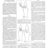 0729 - Page 723 - Mouvement physiologique. La tète isolée. Le système «coeur-crosse aortique». Zone réflexogène intervenant dans la régulation de la respiration
