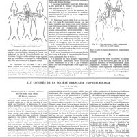 0732 - Page 726 - Mouvement physiologique. La tète isolée. Le système «coeur-crosse aortique». Zone réflexogène intervenant dans la régulation de la respiration [Léon Binet] / XLIe Congrès de la société française d'ophtalmologie (Paris, 14-16 mai 1928). Biomicroscopie de la chambre antérieure de l'iris et du corps ciliaire