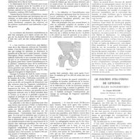 0797 - Page 791 - Travaux originaux. Fractures de la cavité cotyloïde Par Ch. Lenormant / Les injections intra-utérines de lipiodol sont-elles dangereuses ? Par Claude Béclère...