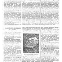 0814 - Page 808 - Travaux originaux. Les hommes de verre. Fragilité osseuse hérédofamiliale avec crâne à rebord sclérotiques bleues et troubles auditifs. Par E. Apert... / Vagabondage cellulaire. Par G. Durante
