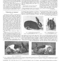 0820 - Page 814 - Chroniques, variétés et informations. Psychologie pratique. Valeur physiognomonique de la cheveleuse / Tréponème et fourrure