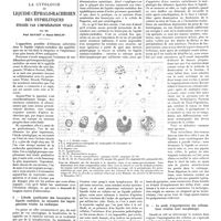 0891 - Page 881 - Travaux originaux. Travail du service et du laboratoire de M. Ravaut à l'hôpital St-Louis. La cytologie du liquide céphalo-rachidien des syphilitiques étudiée par l'imprégnation vitale. Par MM. Paul Ravaut et Raoul Boulin