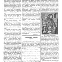 1047 - Page 1037 - Chroniques, variétés et informations. Un mythomane : L'homme qui voulut être roi d'Araucanie [S. Abbatucci] / Phytothérapie exotique. La myrrhe